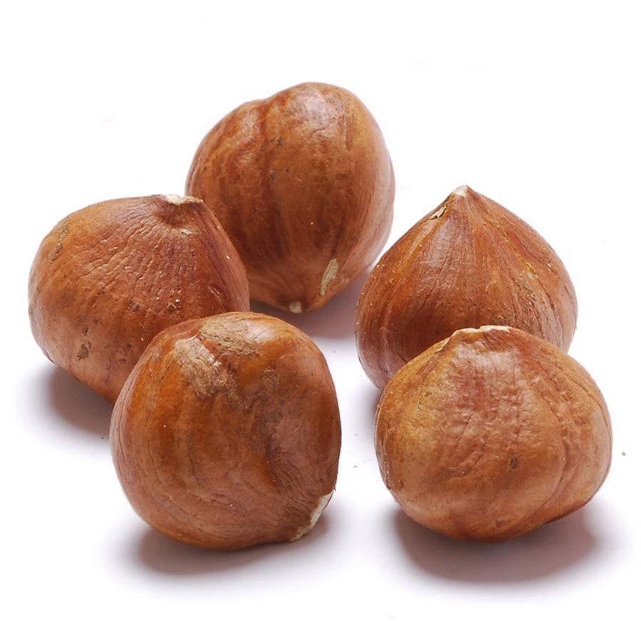 Premium Quality Hazelnuts - Image 4
