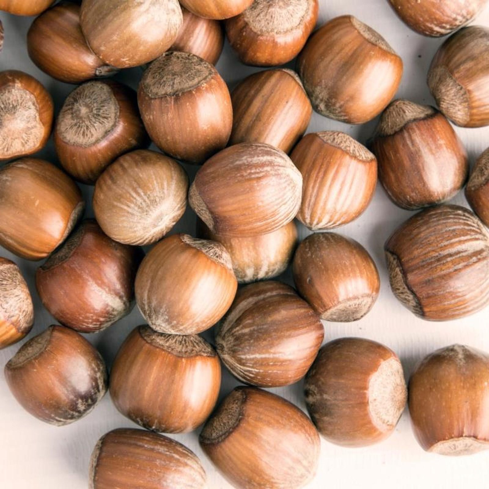 Premium Quality Hazelnuts - Image 3