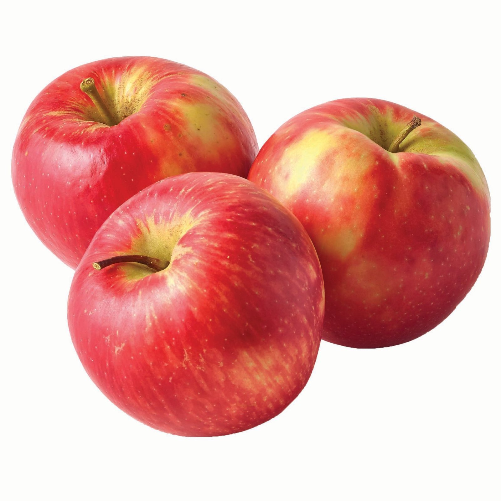 Fresh Apples for Bulk Orders - Crisp, Sweet, and Naturally Grown - Image 7
