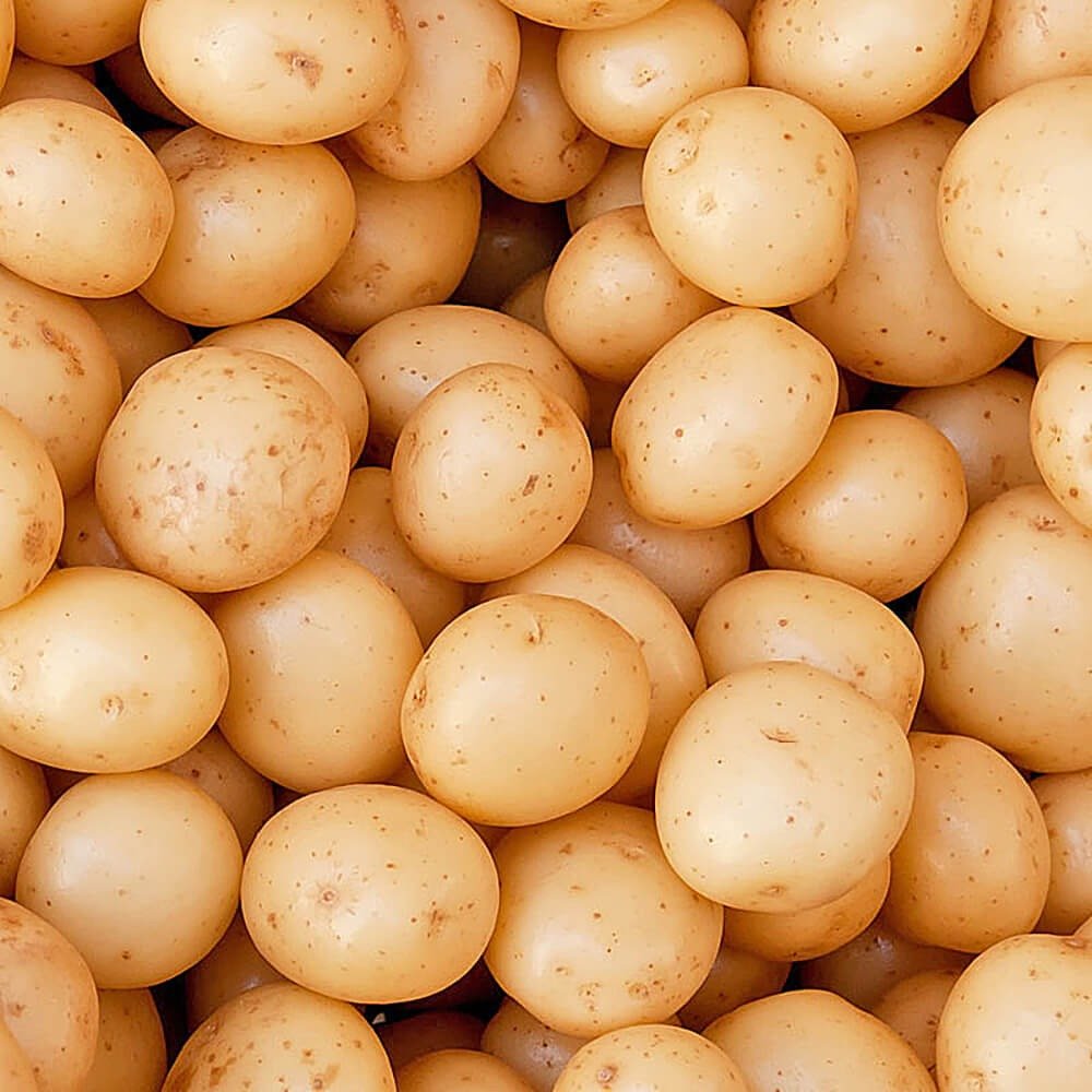 Fresh Premium Potatoes for Sale - Image 4
