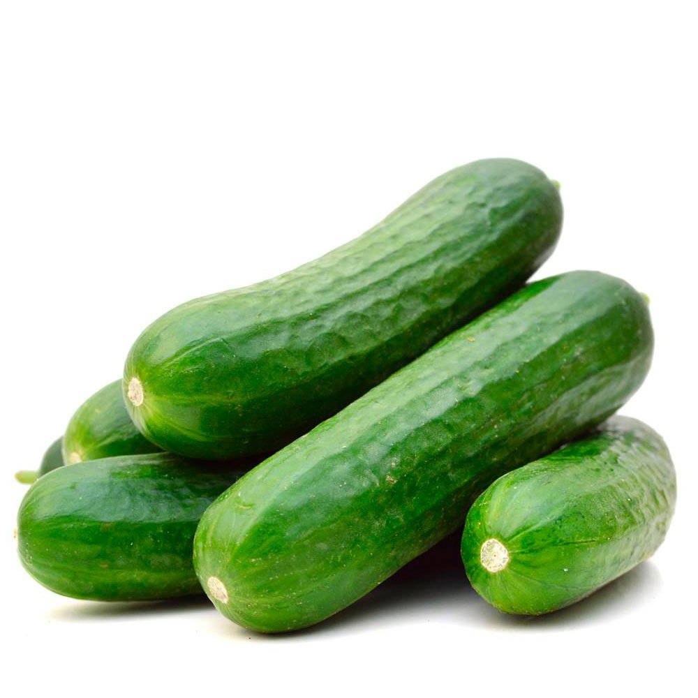 Fresh Cucumbers - Image 6