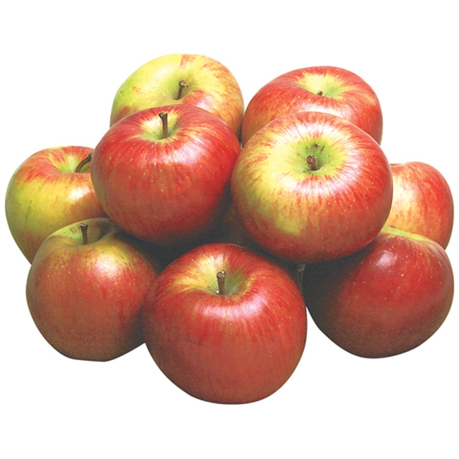Fresh Apples for Bulk Orders - Crisp, Sweet, and Naturally Grown - Image 5