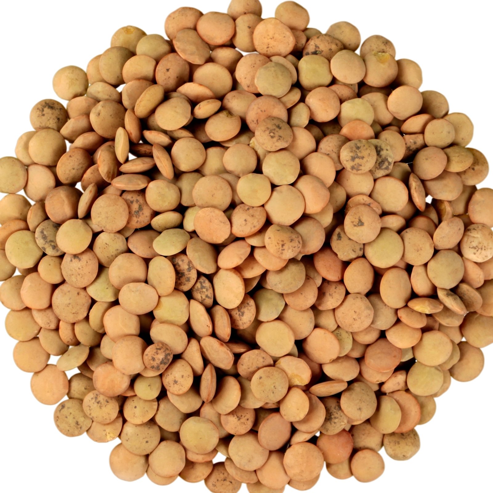 High-Quality Lentils - Image 5