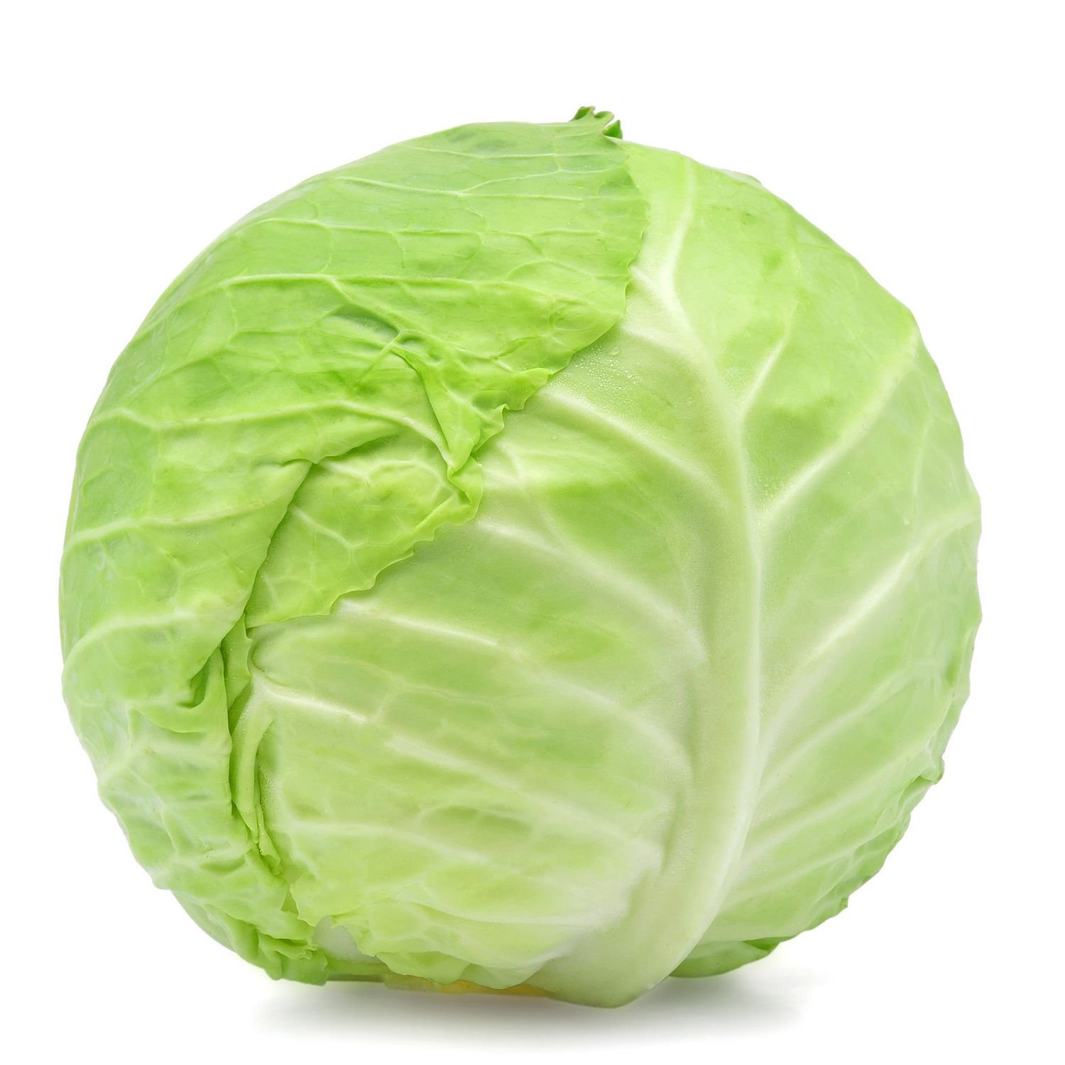 Fresh Cabbage - Image 8