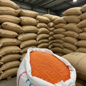 High-Quality Lentils