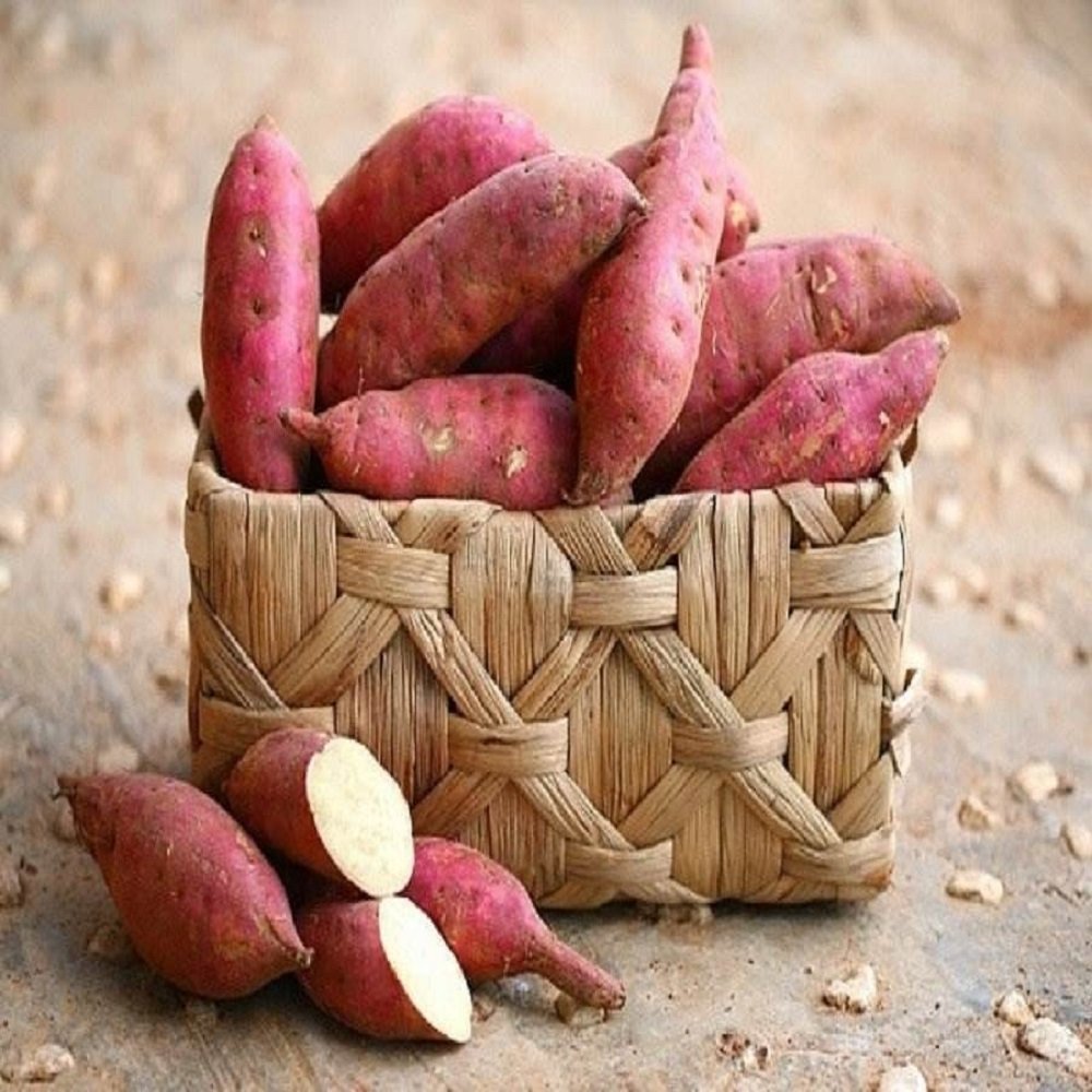 Premium Fresh Sweet Potatoes for Sale - Image 5