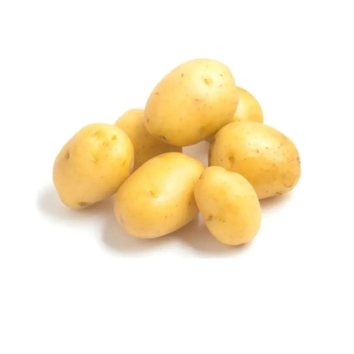 Fresh Premium Potatoes for Sale - Image 6