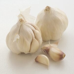 Fresh Garlic - Premium Quality, Bulk Supply for Wholesale