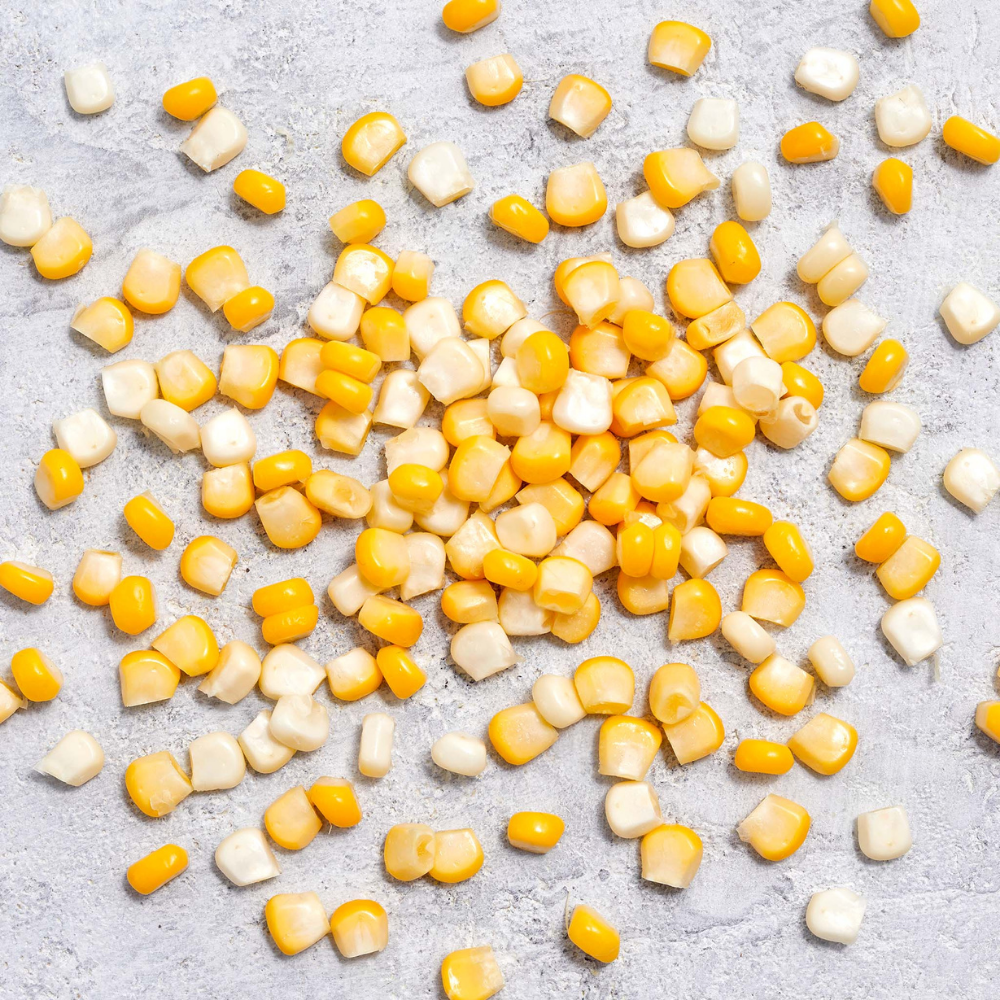 Corn for Bulk Orders - Image 6