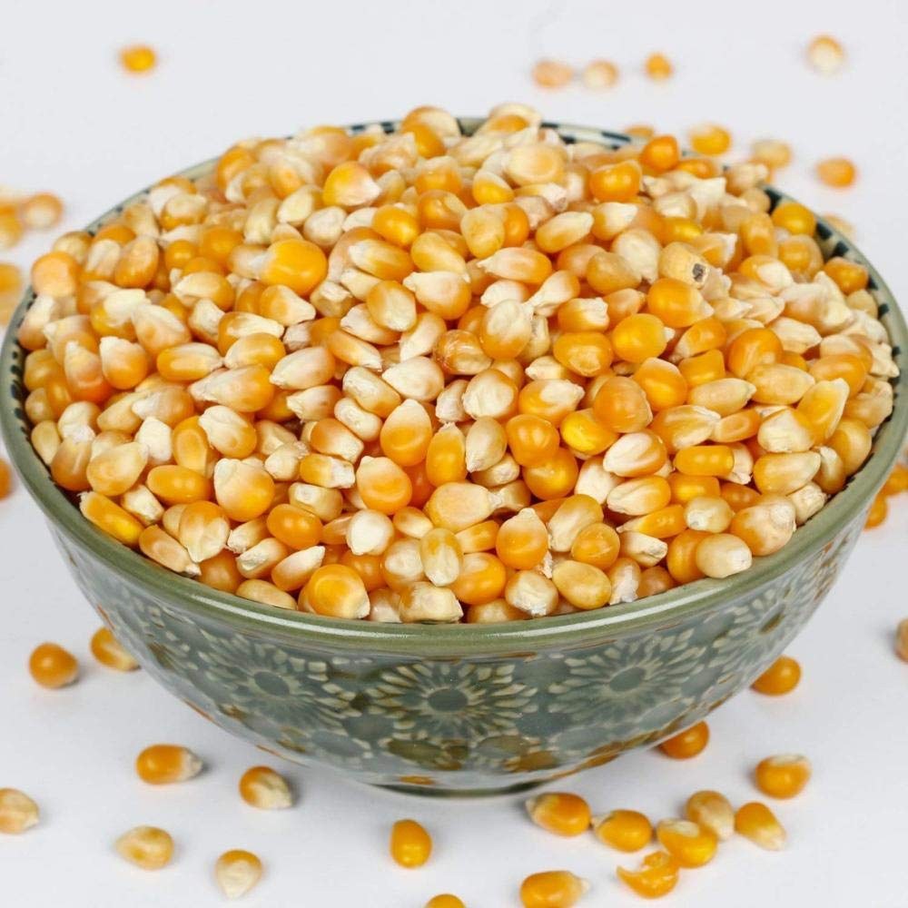 Corn for Bulk Orders - Image 4
