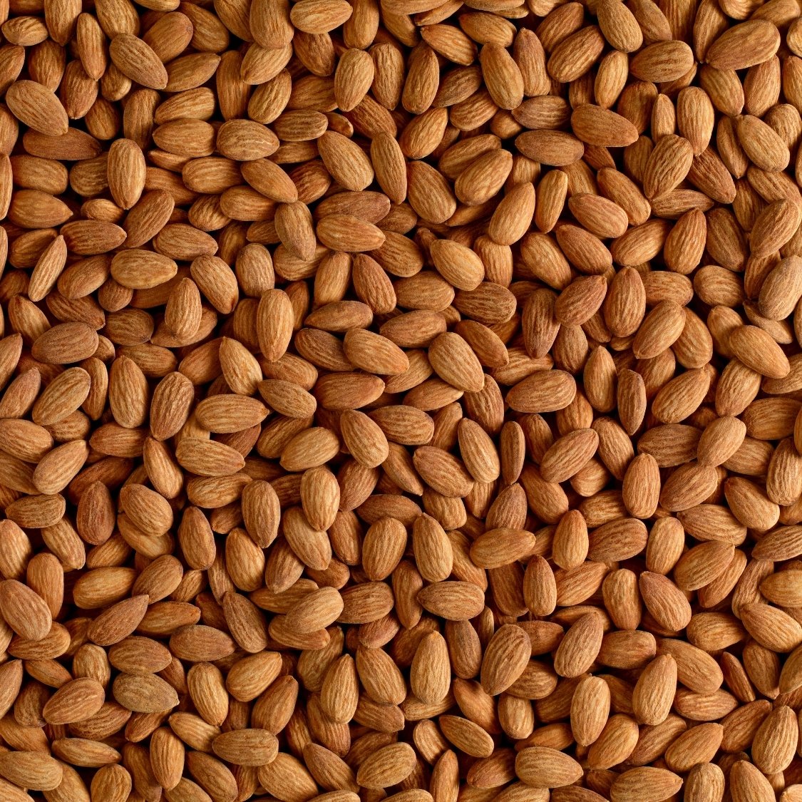 Premium Almond Nuts - Image 6