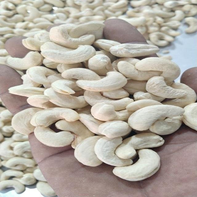 Premium Quality Cashew Nuts - Image 3