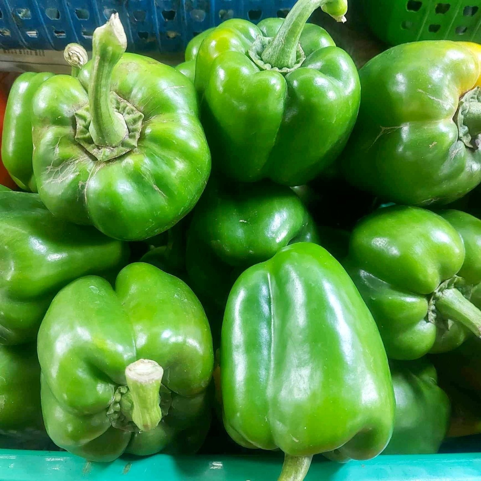 Fresh Bell Peppers - Image 7
