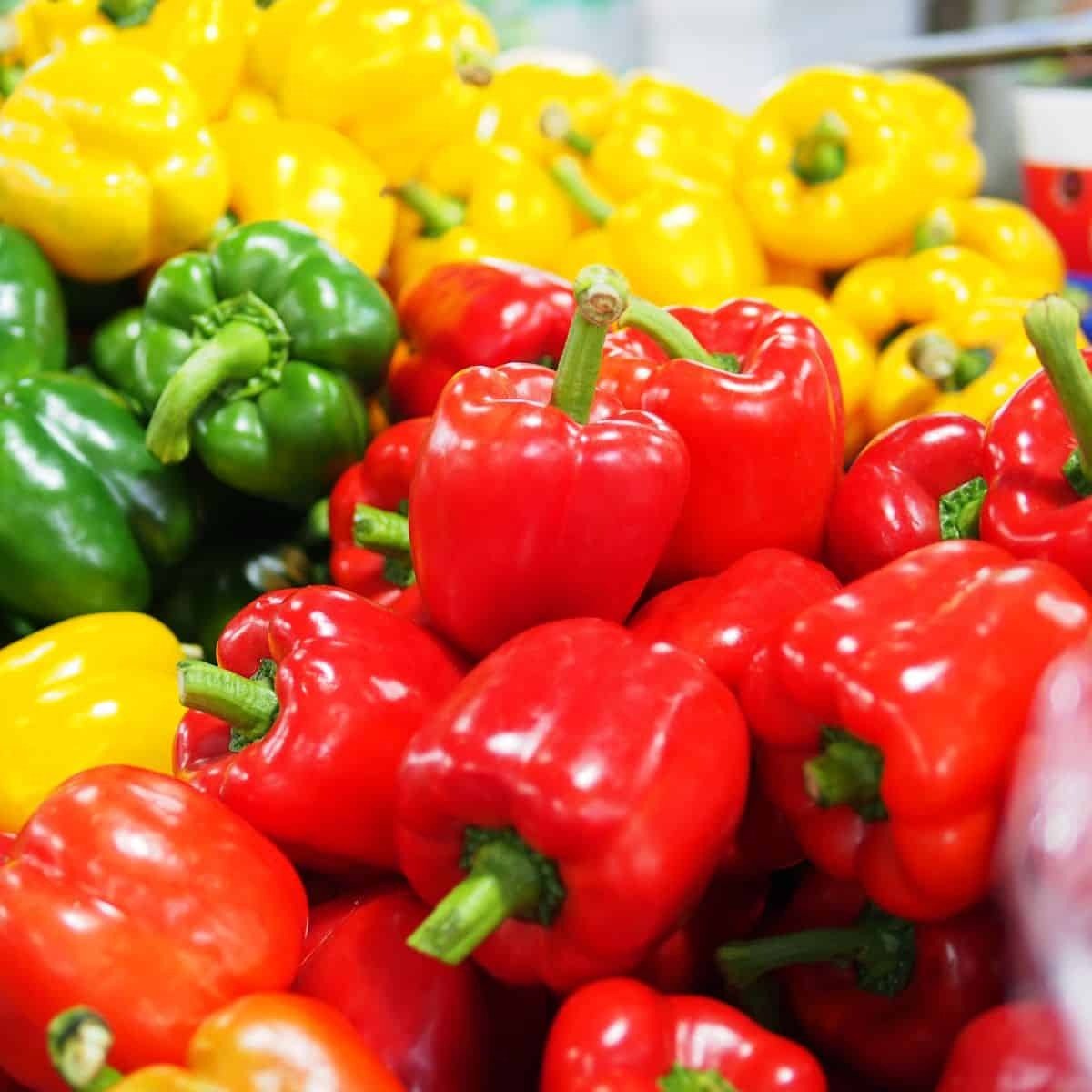 Fresh Bell Peppers - Image 6