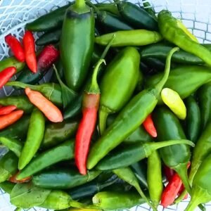Fresh Chili Peppers