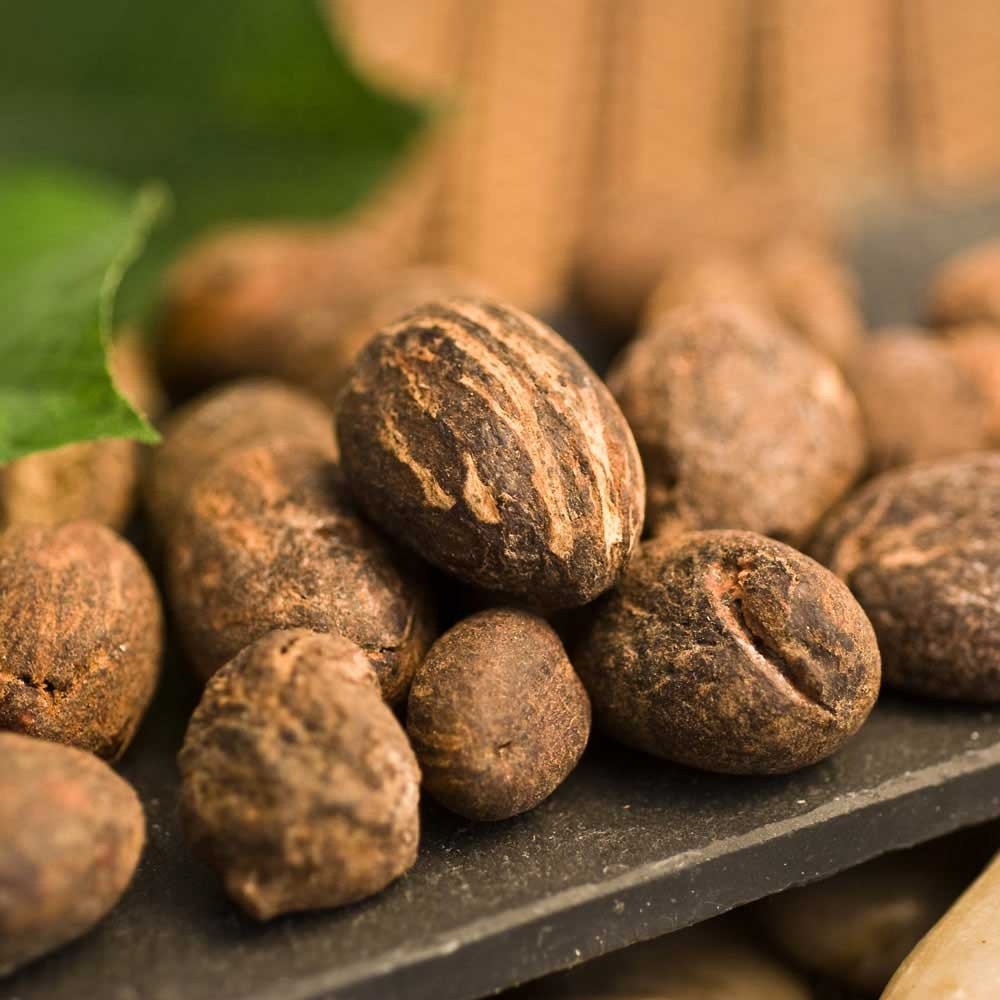 Premium Quality Shea Nuts - Image 5
